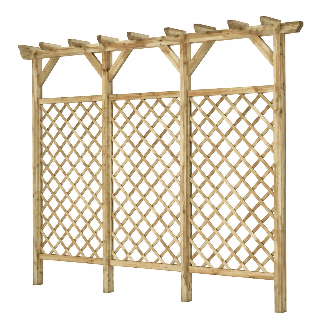 Treillis de jardin, 300 x 50 x 200 cm, pour le jardin ou la terrasse